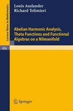 Abelian Harmonic Analysis, Theta Functions and Functional Algebras on a Nilmanifold