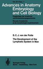 The Development of the Lymphatic System in Man