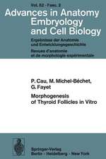 Morphogenesis of Thyroid Follicles in Vitro