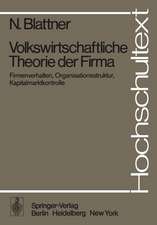 Volkswirtschaftliche Theorie der Firma: Firmenverhalten, Organisationsstruktur, Kapitalmarktkontrolle