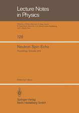 Neutron Spin Echo: Proceedings of a Laue-Langevin Institut Workshop Grenoble, October 15–16, 1979