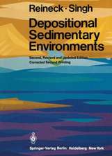 Depositional Sedimentary Environments: With Reference to Terrigenous Clastics