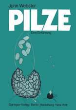 Pilze