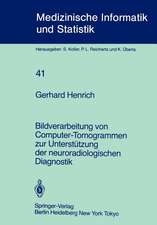 Bildverarbeitung von Computer-Tomogrammen zur Unterstützung der neuroradiologischen Diagnostik