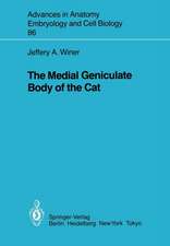 The Medial Geniculate Body of the Cat