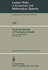 Nonlinear Models of Fluctuating Growth