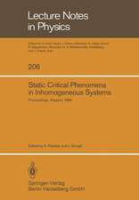 Static Critical Phenomena in Inhomogeneous Systems