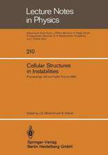 Cellular Structures in Instabilities: Proceedings of the Meeting “Structures cellulaires dans les instabilités — périodicité, défauts, turbulence de phase” Held at Gif-sur-Yvette, France, June 20–22, 1983