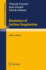 Resolution of Surface Singularities: Three Lectures