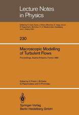 Macroscopic Modelling of Turbulent Flows: Proceedings of a Workshop held at INRIA, Sophia-Antipolis, France, December 10–14, 1984