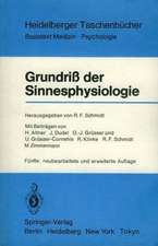 Grundriß der Neurophysiologie