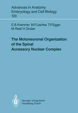 The Motoneuronal Organization of the Spinal Accessory Nuclear Complex