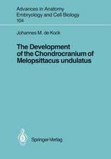 The Development of the Chondrocranium of Melopsittacus undulatus