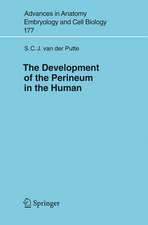 The Development of the Perineum in the Human: A Comprehensive Histological Study with a Special Reference to the Role of the Stromal Components