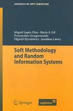 Soft Methodology and Random Information Systems