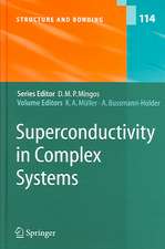 Superconductivity in Complex Systems