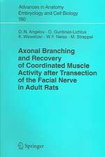 Axonal Branching and Recovery of Coordinated Muscle Activity after Transsection of the Facial Nerve in Adult Rats