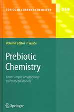 Prebiotic Chemistry: From Simple Amphiphiles to Protocell Models