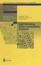 Cyclic Homology in Non-Commutative Geometry