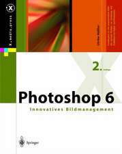 Photoshop 6: Innovatives Bildmanagement