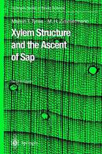 Xylem Structure and the Ascent of Sap