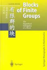 Blocks of Finite Groups