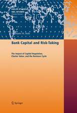 Bank Capital and Risk-Taking