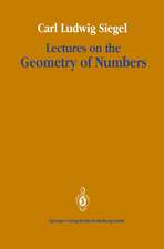 Lectures on the Geometry of Numbers