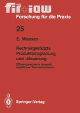 Rechnergestützte Produktionsplanung und -steuerung: Effizienzorientierte Auswahl anpaßbarer Standardsoftware