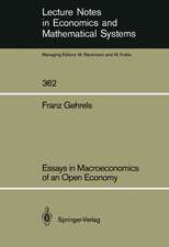 Essays in Macroeconomics of an Open Economy