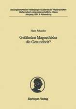 Gefährden Magnetfelder die Gesundheit?: Vorgelegt in der Sitzung vom 4. Mai 1991