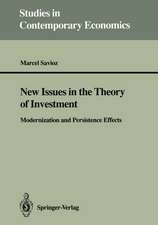 New Issues in the Theory of Investment