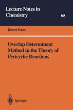 Overlap Determinant Method in the Theory of Pericyclic Reactions