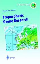 Tropospheric Ozone Research: Tropospheric Ozone in the Regional and Sub-regional Context