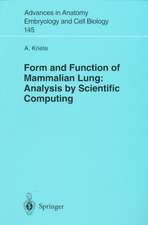 Form and Function of Mammalian Lung: Analysis by Scientific Computing