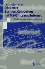 Business Computing mit MS-Office und Internet: Eine Einführung an praktischen Beispielen