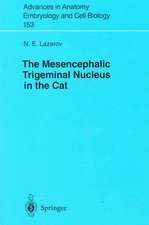 The Mesencephalic Trigeminal Nucleus in the Cat