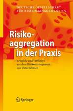 Risikoaggregation in der Praxis: Beispiele und Verfahren aus dem Risikomanagement von Unternehmen