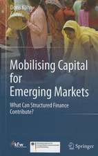 Mobilising Capital for Emerging Markets: What Can Structured Finance Contribute?