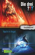 Die drei ??? und der Feuergeist / Nacht in Angst (drei Fragezeichen)