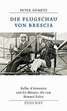 Die Flugschau von Brescia