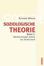 Soziologische Theorie 1