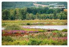 52 kleine & große Eskapaden Kassel und Nordhessen