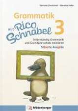 Grammatik mit Rico Schnabel, Klasse 3 - silbierte Ausgabe