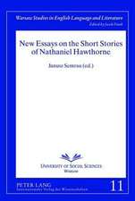 New Essays on the Short Stories of Nathaniel Hawthorne