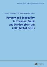 Poverty and Inequality in Ecuador, Brazil and Mexico After the 2008 Global Crisis: Ein Moderner Roman