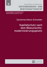 Kapitalschutz Nach Dem Bilanzrechtsmodernisierungsgesetz: Jewish Art and Jewish Artists in Central and Eastern European Modernism at the Turn of the Last Century