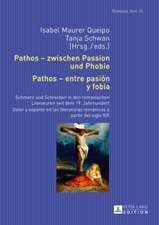 Pathos - Zwischen Passion Und Phobie. Pathos - Entre Pasion y Fobia: Schmerz Und Schrecken in Den Romanischen Literaturen Seit Dem 19. Jahrhundert. Do