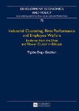 Industrial Clustering, Firm Performance and Employee Welfare