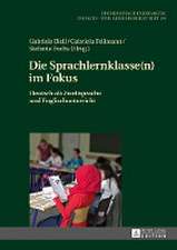 Die Sprachlernklasse(n) Im Fokus